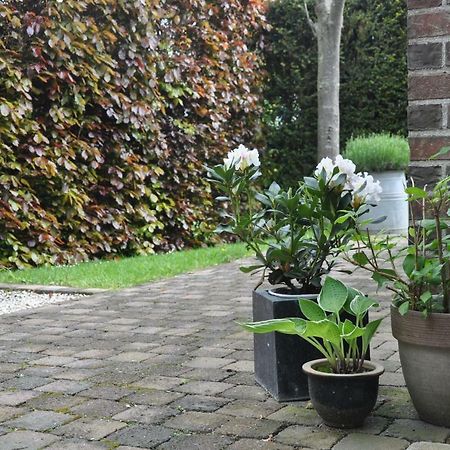 Bed and Breakfast De Logeur Asse Екстер'єр фото