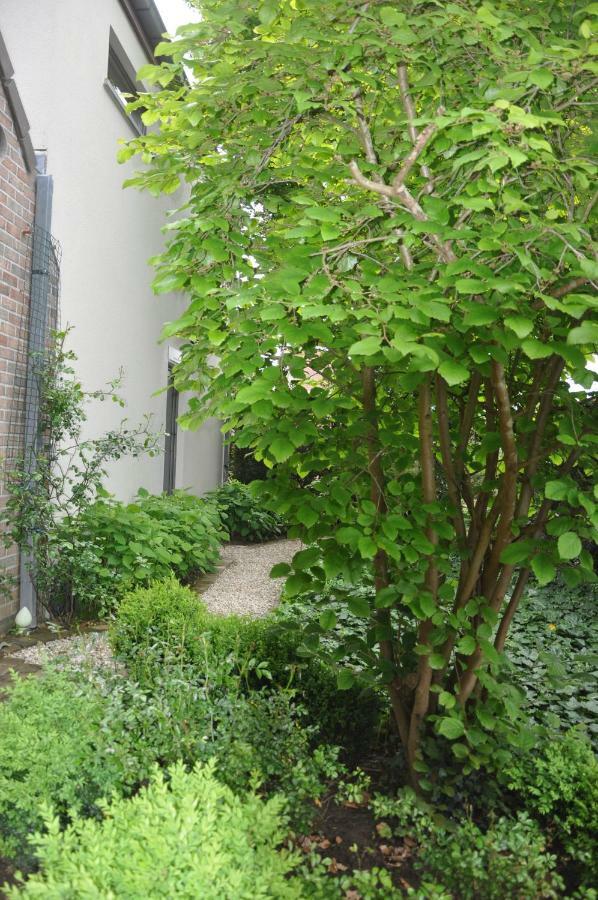 Bed and Breakfast De Logeur Asse Екстер'єр фото